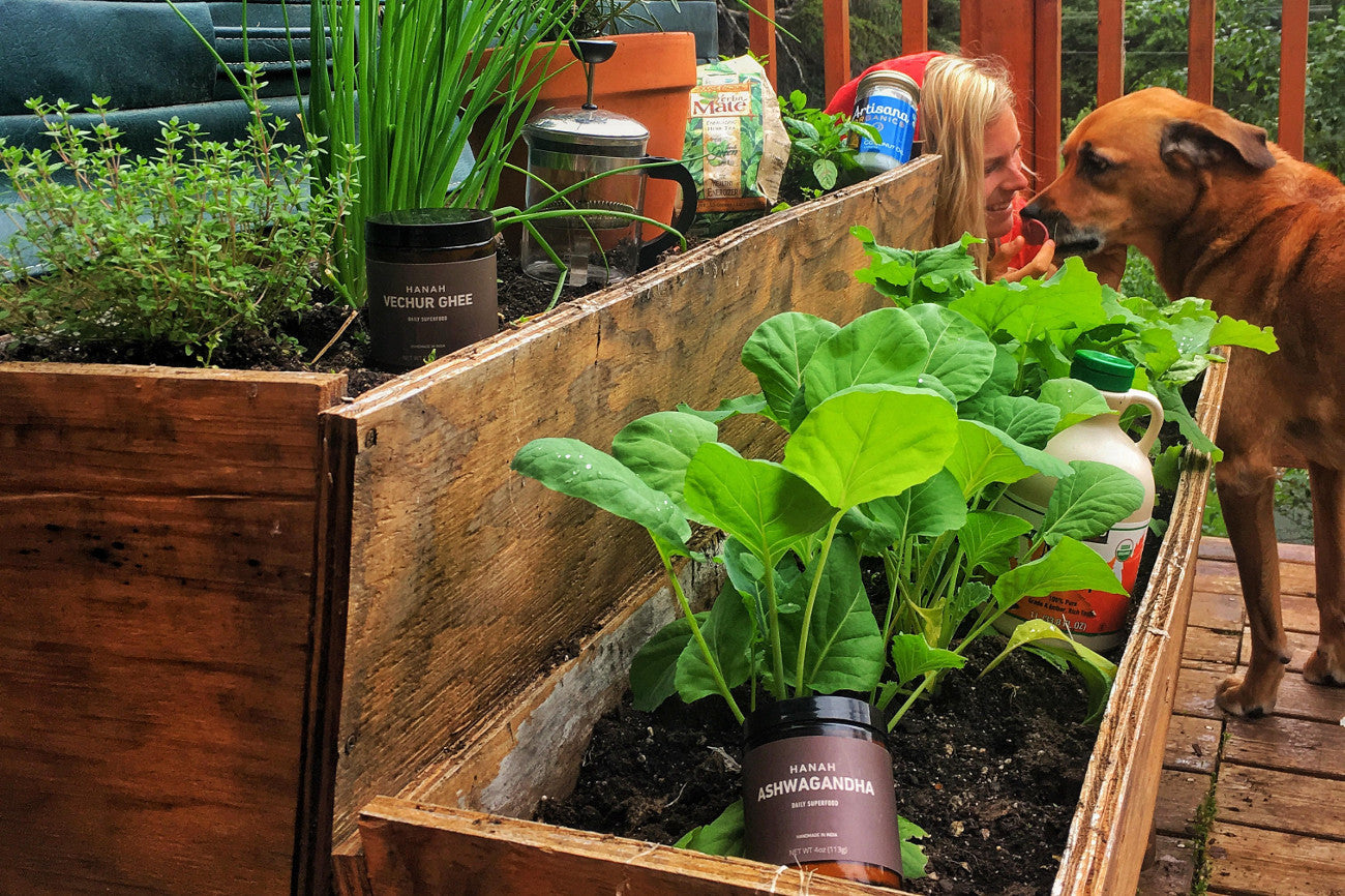 Ashwagandha > coffee for pro skier Angel Collinson