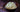 Healthy low-glycemic bowl of mashed cauliflower made with HANAH Vechur Ghee