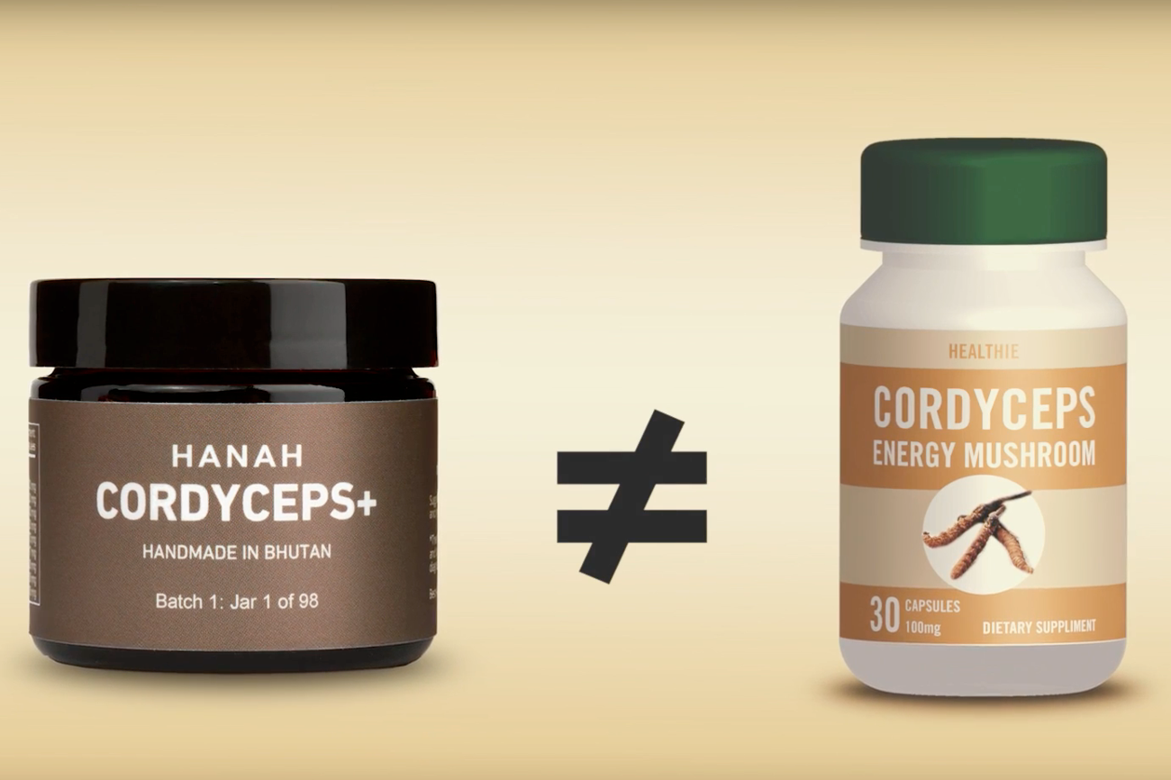 HANAH Cordyceps+, not all ingredients are created equal. The highest quality, hand-harvest Cordyceps sinensis from the mineral-rich lands of Bhutan