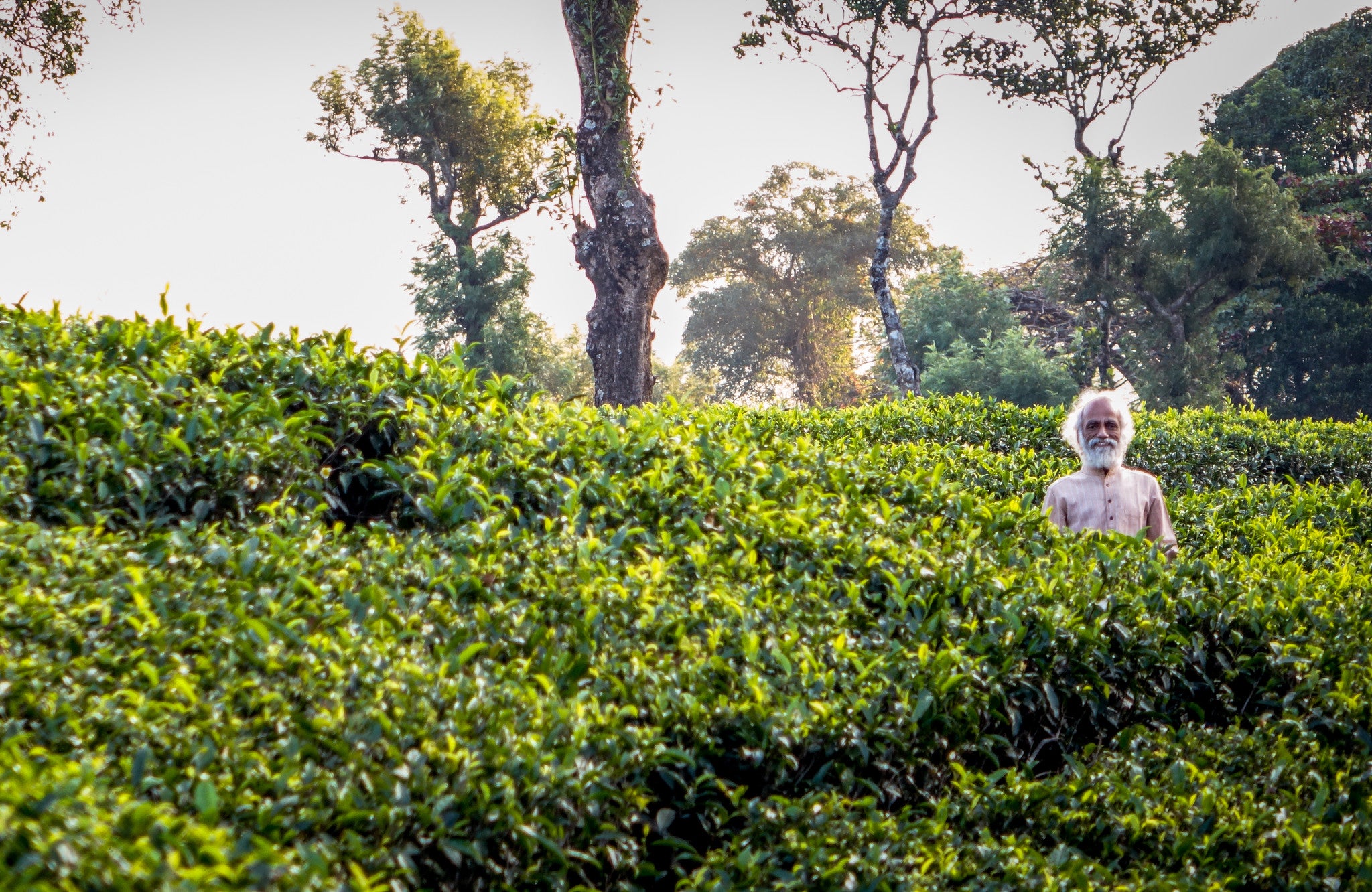Indian man meditating