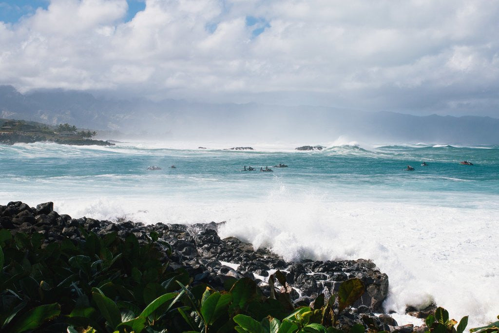 HANAH ONE & a tonic bar on the north shore of O'ahu