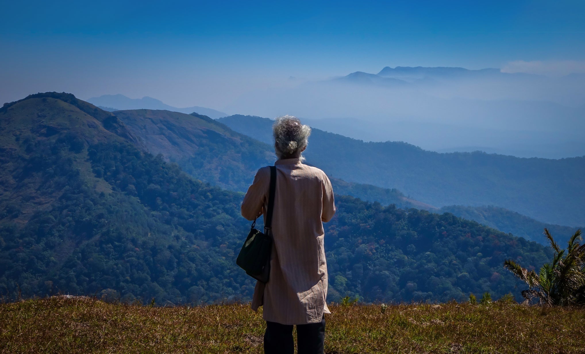 A True HANAH Hero: Dr. V.A. Venugopal and the Power of Ayurveda