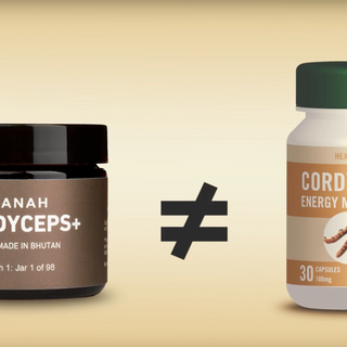 HANAH Cordyceps+, not all ingredients are created equal. The highest quality, hand-harvest Cordyceps sinensis from the mineral-rich lands of Bhutan