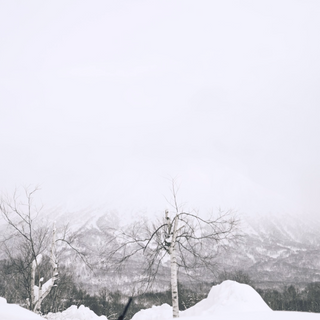 HANAH Rituals: Taro Tamai snowsurfing in Niseko