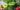 Yoga health coach Cate Stillman’s slow release green elixir & Joel Einhorn podcast