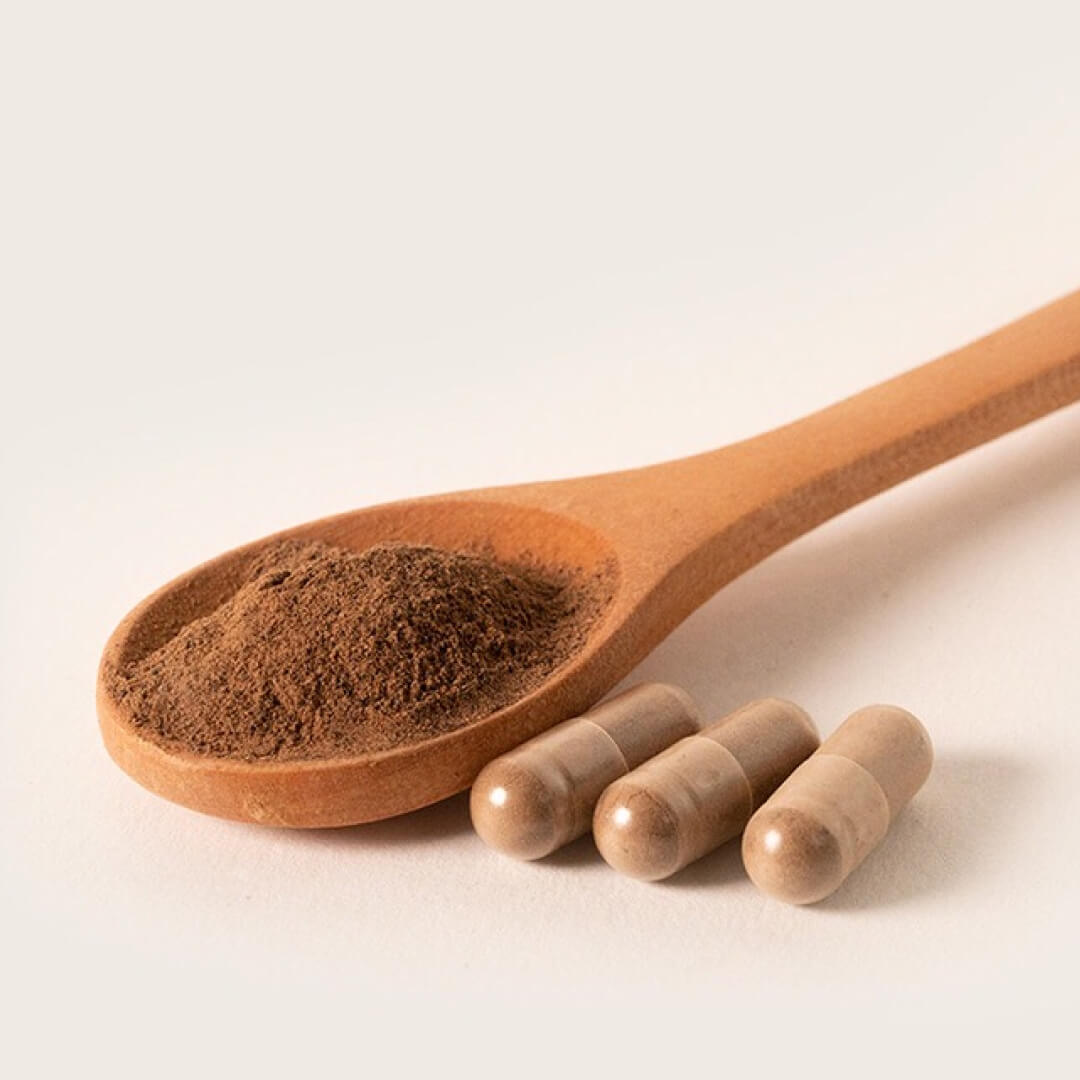 Shilajit+