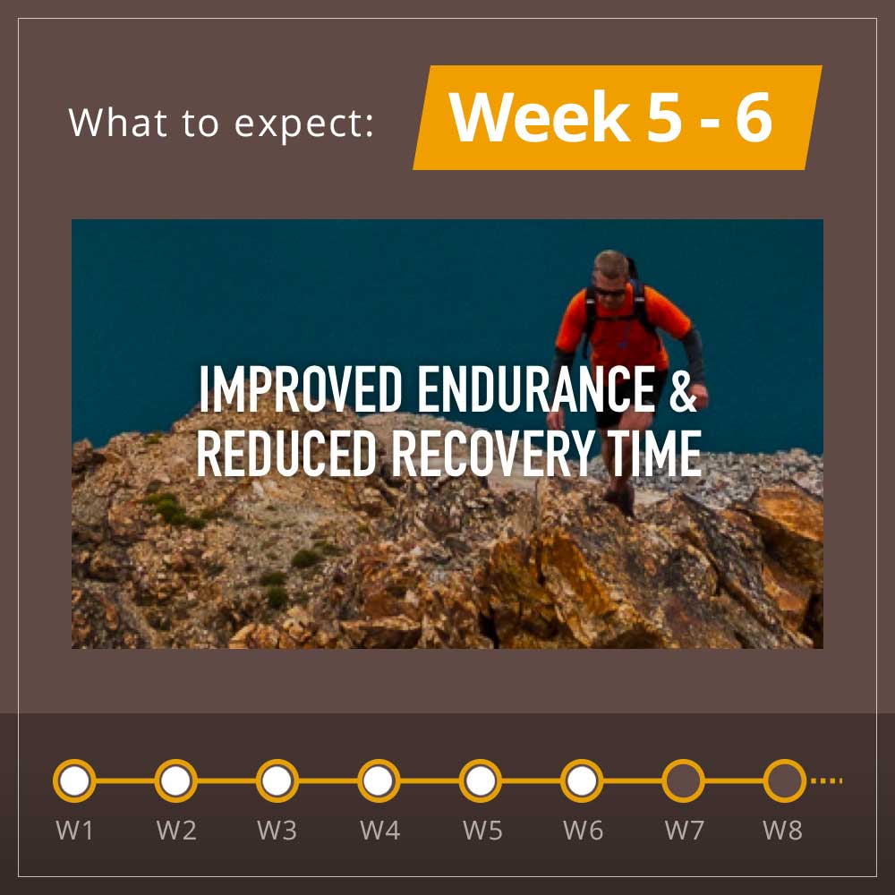 Adaptogen Powerhouse Bundle